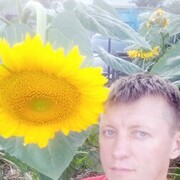  ,   , 44 ,   