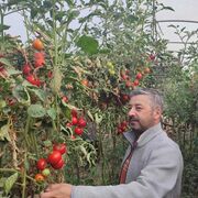 ���������� ��������, ���� ������� Karizmatrix, 45 ���, ������������ ��� ������, ����� � ���������