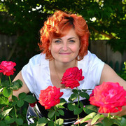 ���������� ��������, ���� ������� �����, 55 ���, ������������ ��� ������, ����� � ���������, c�������� ���������