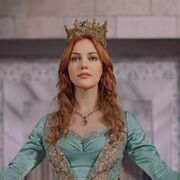 ���������� �����������, ����� ������