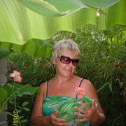  ,   , 51 ,  