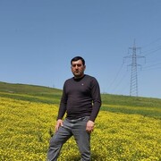 ���������� ������, ���� ������� Natiq, 40 ���, ������������ ��� ������, ����� � ���������