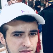  ,   Lion, 30 ,   