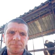 ���������� ������, ���� ������� ������, 48 ���, ������������ ��� ������, ����� � ���������