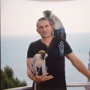 ���������� ������, ������� �������, 51