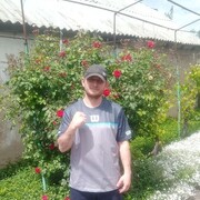  ,   , 33 ,   ,   , c , 