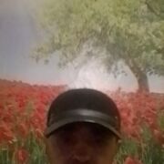 ���������� ���������, ���� ������� ���������, 45 ���, ������������ ��� ������, ����� � ���������