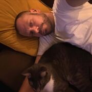 ���������� ������, ���� ������� Ѹ��, 38 ���, ������������ ��� ����� � ���������, c�������� ���������, ���������