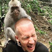 ���������� �����-���������, ���� ������� �����, 33 ����, ������������ ��� ������, ����� � ���������, c�������� ���������, ���������