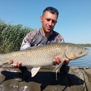  ,   ANDREY, 39 ,   ,   , c , 