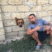 ���������� ������, ���� ������� ������, 36 ���, ������������ ��� ������, ����� � ���������