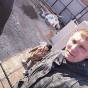  --,   , 38 ,   ,   , c , 