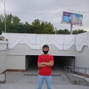 ���������� �������, ���� ������� Sardor, 43 ����, ������������ ��� ������, ����� � ���������, c�������� ���������