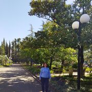  ,   , 52 ,     , c 