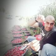 ���������� ������, ���� ������� �����, 37 ���, ������������ ��� ������, ����� � ���������, ���������