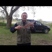  ,  , 56