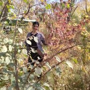 ���������� ������-��-����, ���� ������� �����, 59 ���, ������������ ��� ����� � ���������, c�������� ���������