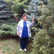 ���������� �����������, ���� ������� �������, 67 ���, ������������ ��� c�������� ���������