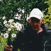 ���������� ������, ���� ������� ���������, 65 ���, ������������ ��� ����� � ���������, c�������� ���������