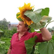 ���������� �������, ���� ������� �����, 46 ���, ������������ ��� ������, ����� � ���������