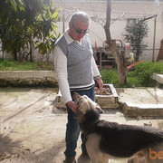 ���������� �������, ������� temi, 62