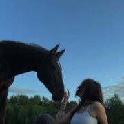  ,   , 22 ,  