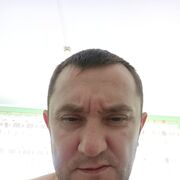  --,   , 43 ,   ,   