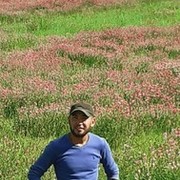 ���������� ������, ���� ������� �����, 36 ���, ������������ ��� ������, ����� � ���������, c�������� ���������