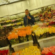 ���������� �����-���������, ���� ����� Step, 24 ����, ������������ ��� ������, ����� � ���������, c�������� ���������, ���������