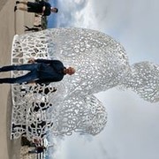  ,   , 40 ,  