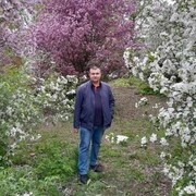 ���������� ���������, ���� ������� �������, 46 ���, ������������ ��� ������, ����� � ���������