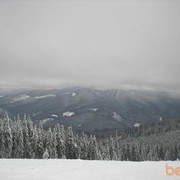 ���������� ����, ���� ������� �����, 50 ���, ������������ ��� ������, ����� � ���������, c�������� ���������