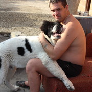  ,   , 44 ,  