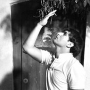 ���������� ������, ���� ������� ��������, 36 ���, ������������ 