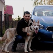 ���������� ������, ���� ������� ������, 38 ���, ������������ ��� ������, ����� � ���������, c�������� ���������