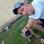 ���������� �����������, ���� ������� ����, 36 ���, ������������ ��� ����� � ���������, c�������� ���������