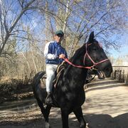 ���������� ��, ���� ����� ����, 25 ���, ������������ ��� ������, ����� � ���������