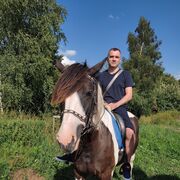 ���������� �����, ���� ������� ���������, 41 ���, ������������ ��� ������, ����� � ���������, c�������� ���������