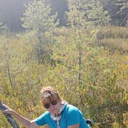  ,   , 55 ,   c 
