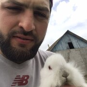 ���������� ������, ���� ������� Magi, 34 ����, ������������ ��� ������, ����� � ���������