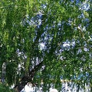  ,   , 63 ,     , c 