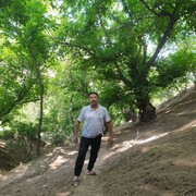  ,   Jasurbek, 39 ,   ,   