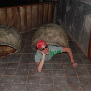 ���������� �������, ���� ������� �������, 55 ���, ������������ 