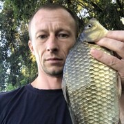  ,   , 41 ,   ,   , c , 
