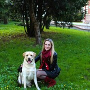 ���������� �����������, �����