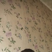 ���������� �����, ���� ������� �������, 37 ���, ������������ 