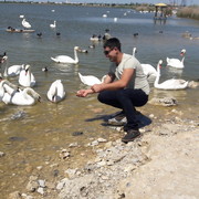  ,   , 31 ,   