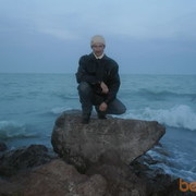 ���������� ����, ������� ����������, 44