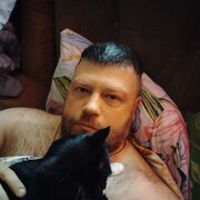 ���������� �����, ���� ������� �����, 41 ���, ������������ ��� ���������