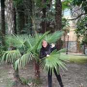 ���������� ���������, ���� ������� �����, 63 ����, ������������ ��� c�������� ���������